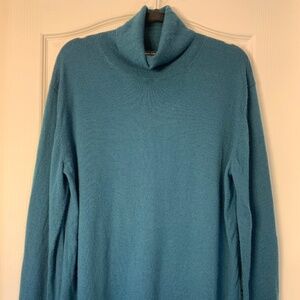 Banana Republic 100% Merino Wool Turtleneck Sweater (XL) | Soft Blue-Green  Knit